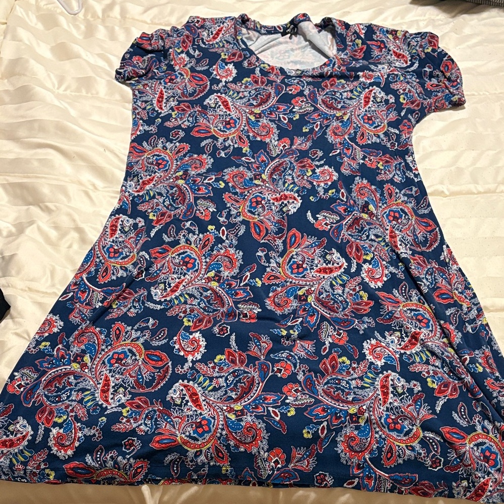 Premise Blue and Red Paisley Dress